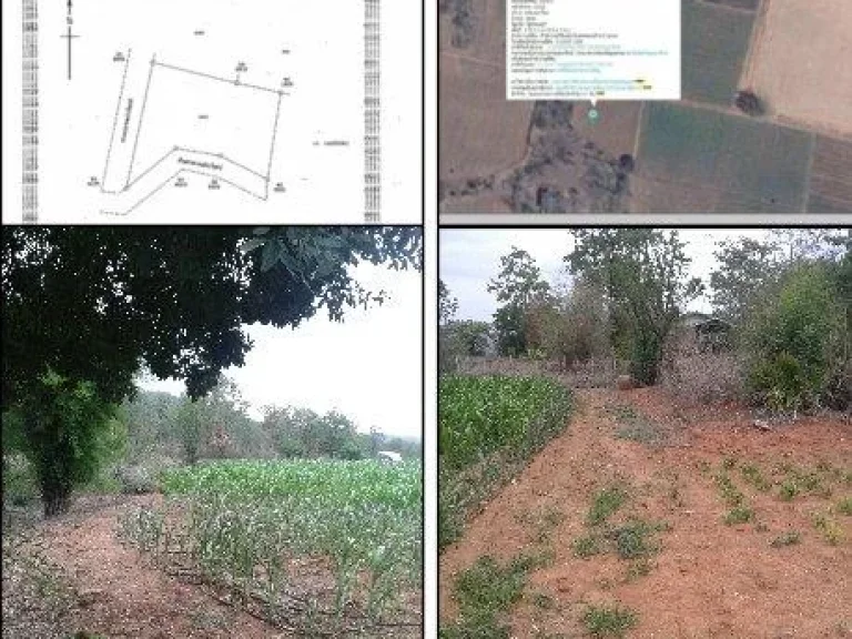 ขายที่ดินโฉนด 2-0-18 ไร่ ราคาถูก
