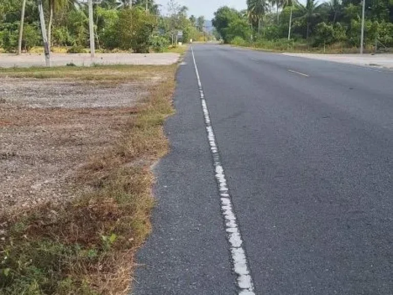 ขายที่ดิน 148 ตรว ใกล้หาดขนอม 300ม ใกล้โรงแรมและรีสอร์ทหลา