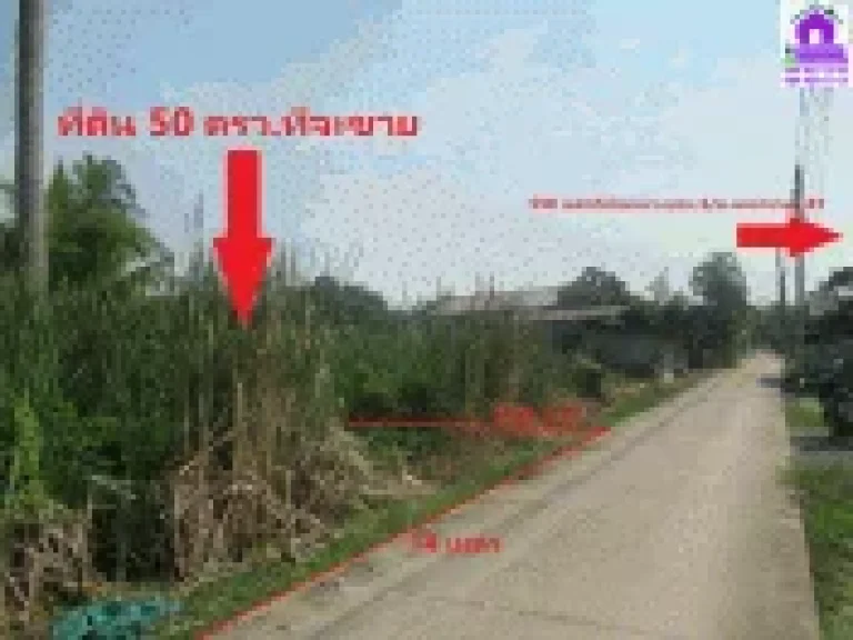 ขายที่ดิน 50 ตรวซเพชรมณฑล ถบางบอน 5 ก่อนถึงหมู่บ้านเพชรมณฑลกรีน