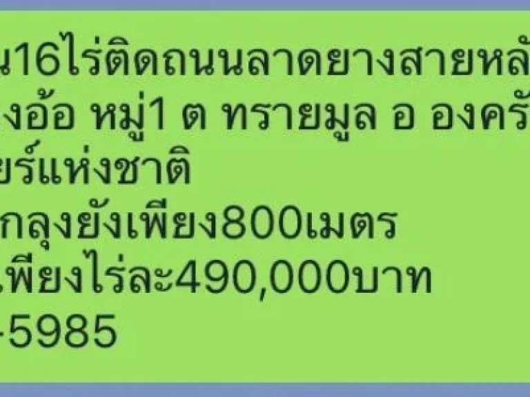 ที่ดิน16ไร่ติดถนยลาดยางสายหลักใก้ลร้านลุงยังปลาเผาลูกลุงยังแก้วกลางดง