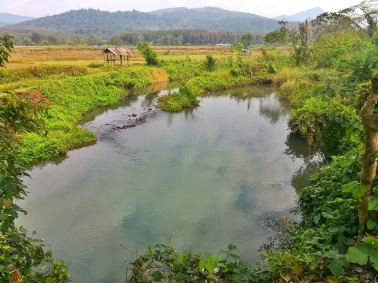 ขายที่ดิน สวนบำไย ริมแม่น้ำ