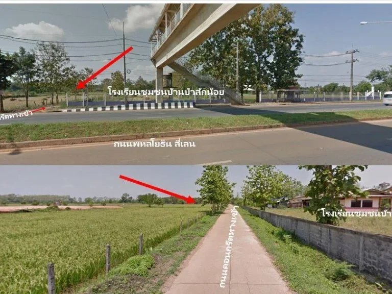 ที่ดินมี 9 ไร่ โฉนด ที่ดินสวยมากข้างโรงเรียนป่าสักน้อยเจ้าของขายเอง