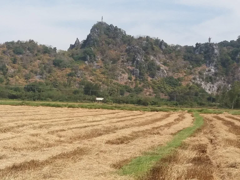 ที่ดินติดถนนดิน ติดคลอง ราคาถูก