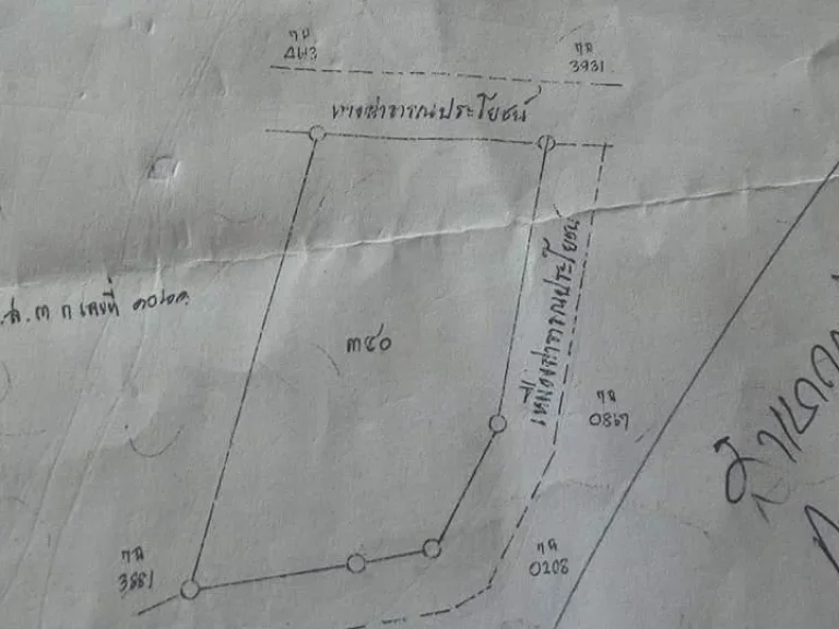 ที่ดินเปล่า โฉนด 5 ไร่เศษ ราคาถูก