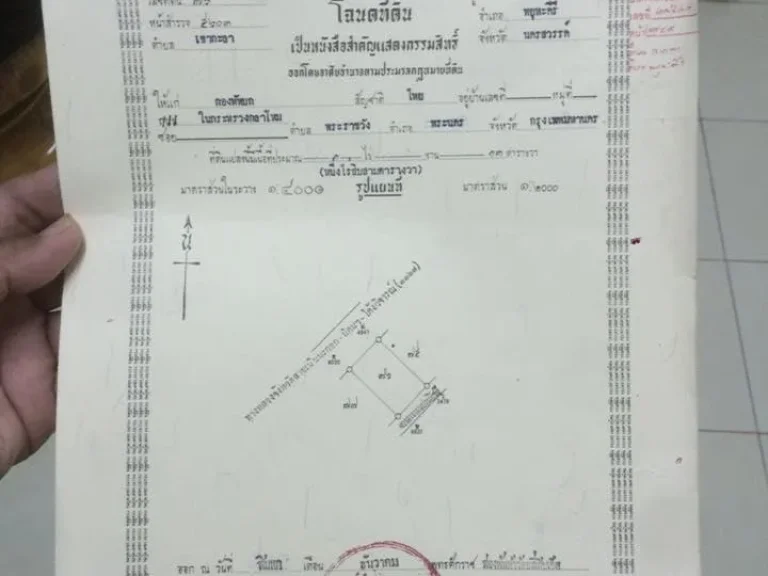 ขายที่ดิน 1 ไร่ 13 ตารางวา ที่ดินด้านหน้าติดถนนสายเนินมะกอก