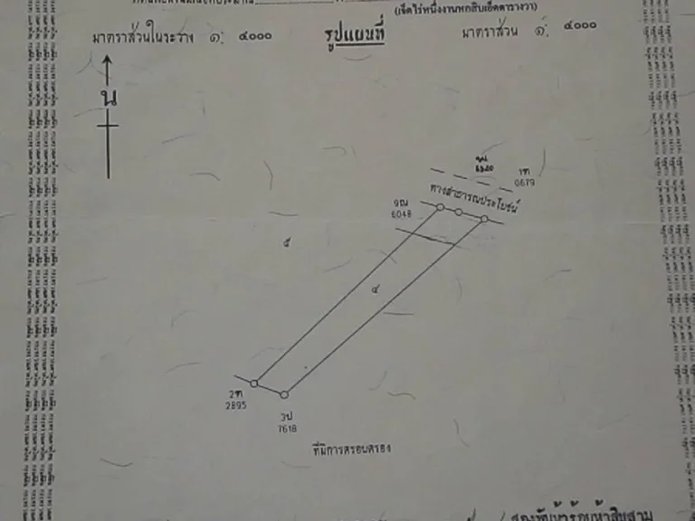 ขายที่ดิน เนื้อที่ 7 ไร่