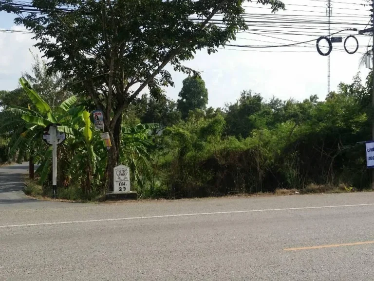 ที่ดิน 710 ตรว ติดถนนใหญ่ ข้าง รร ประชาบำรุง ทำเลดี ค้าขายได้