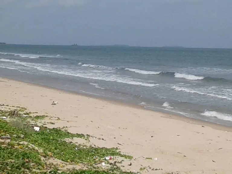 ขายเกาะส่วนตัว ติดหาดแม่พิมพ์ โฉนด 19 ไร่ หน้าชายหาดกว้าง 700 เมตร