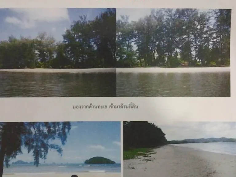 ขายที่ดินติดทะเล อ่าวนาง กระบี่ 165 ไร่ หาดส่วนตัว ยาว340เมตร สวยมาก ถนนเข้าถึง อยู่ตรงข้าม สนงอุทธยาน อ่าวนาง