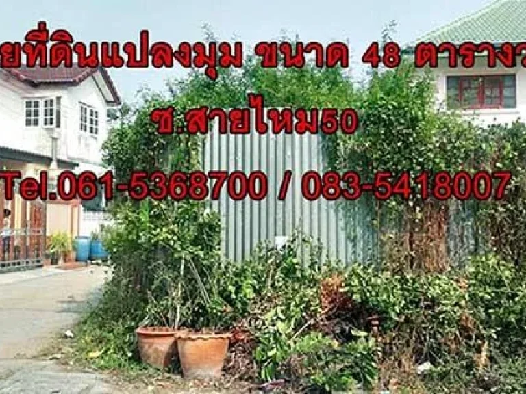 ขายที่ดิน48ตรว ซสายไหม50 เหมาะสำหรับสร้างบ้าน