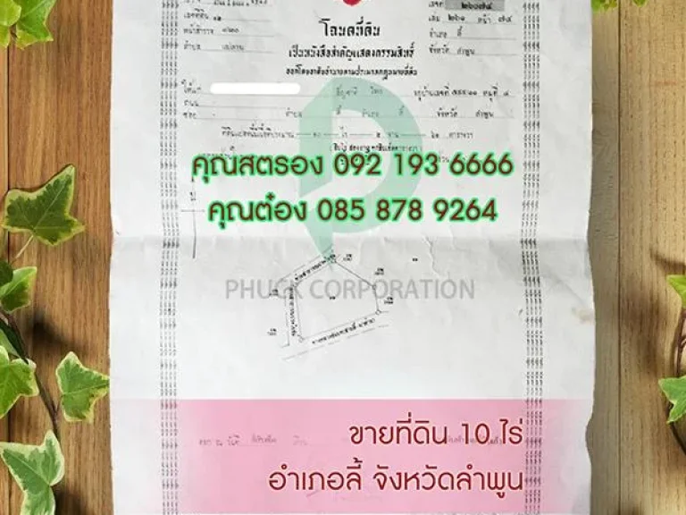 ที่ดินสวย 10 ไร่ ติดถนน 2 ด้าน ติดลำธาร