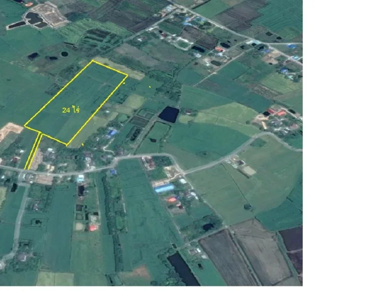 ขายที่ดิน 24 ไร่ มีโฉนด 12 ล้านต่อไร่