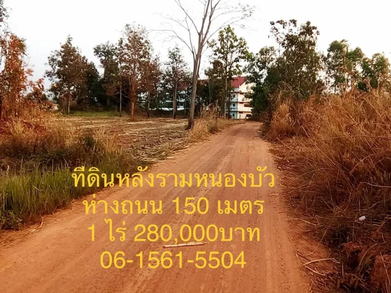 ขายที่ดินหลังราม หนองบัวลำภู