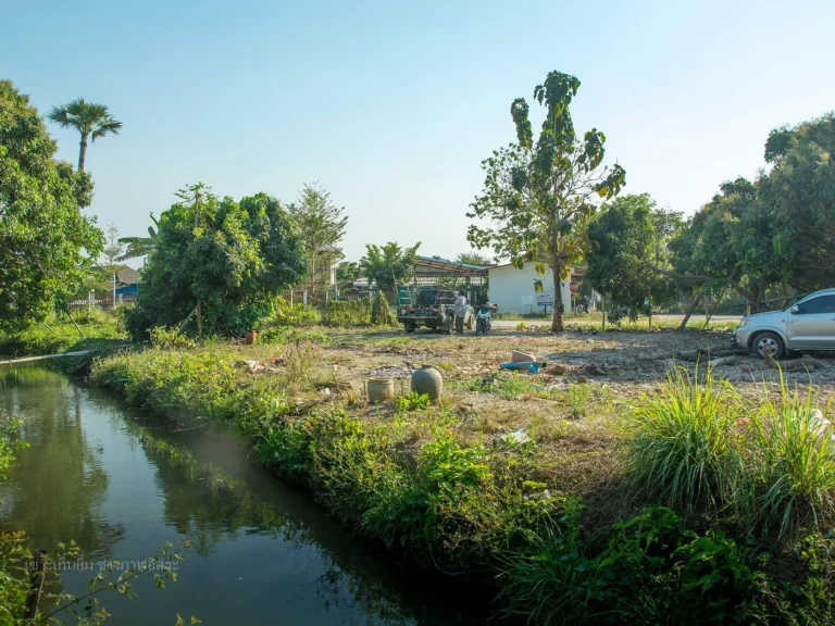 ขายที่ดินพญาชมภู 205 ตรว หน้าติดถนนสองด้าน หลังติดลำธารน้ำธรรมชาติ เดินทาง 20 กมเข้าเมืองเชียงใหม่