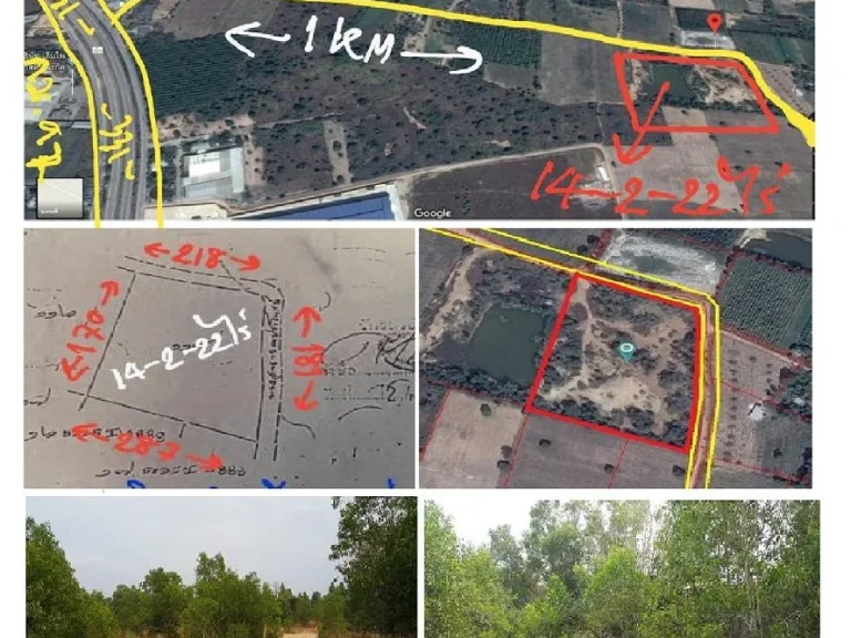ขาย 14-2-22ไร่ๆละ 38 แสน ใกล้331แค่ 1 km หน้ากว้าง 388m ติดถนน 2 ด้าน ทำโกดัง โรงงานได้