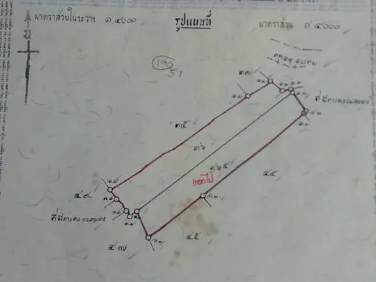 ที่ดินเปล่าถูกๆ 12ไร่ จังหวัดอ่างทอง