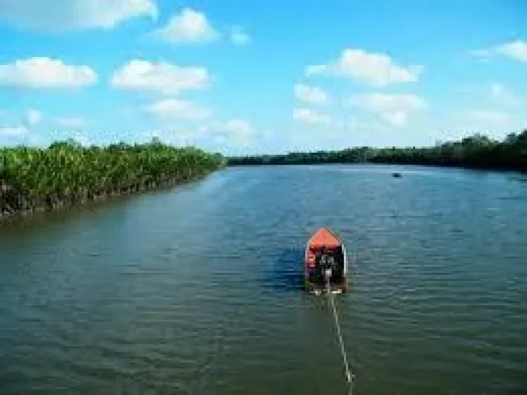 ขายที่ดินติดแม่น้ำ 43 ไร่ ติดถนนคอนกรีต ปรับพื้นสูงเท่าถนน น้ำไฟ พร้อม วิวสวยมาก