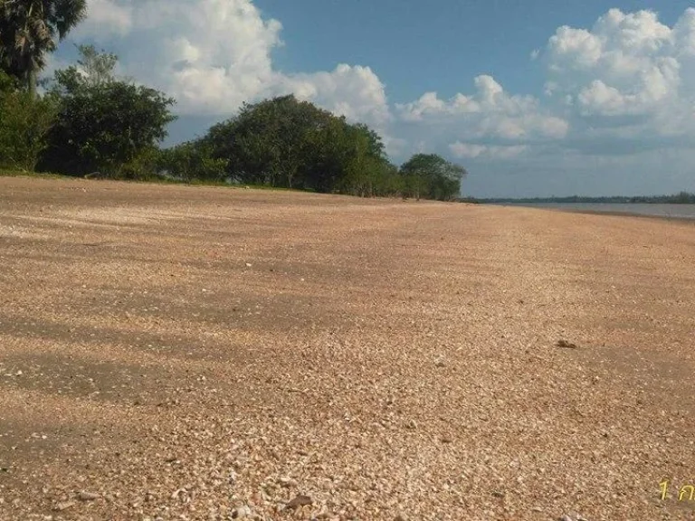 ขายด่วน ที่ติดทะเลหาดส่วนตัว เมืองกระบี่ 2 ไร่ ขาย 6 ล้าน