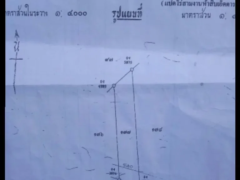 ขายที่ดิน พร้อม ป่าอ้อยสวยๆ 8ไร่ 3งาน 51 ตารางวา