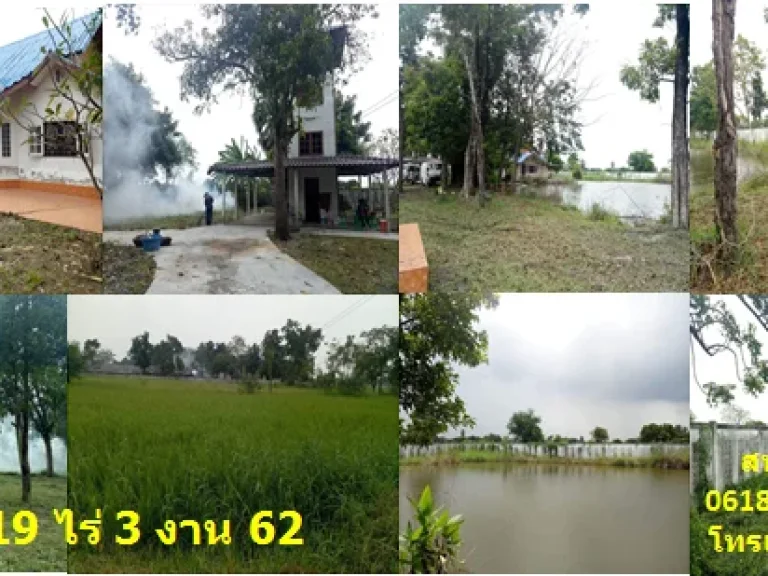 ขายที่ดิน พร้อมสิ่งปลูกสร้าง และพื้นที่ทำการเกษตร ขนาด 19-3-62 ไร่