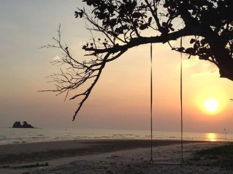 ขายที่ดินติดทะเล แหลมแม่พิมพ์ หาดหน้ากว้างมาก โฉนด 40 ไร่