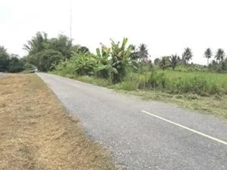 ที่ดินเปล่า แขวงเขต หนองอีรุณ บ้านบึง จังหวัด ชลบุรี 9-2-18 ไร่