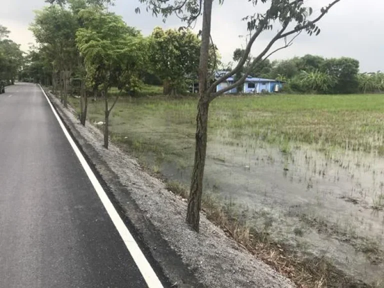 ขายที่ดินเปล่า 4 ไร่ แถวบางบัวทอง นนทบุรี ห่างรถไฟฟ้าและเซ็นทรัล เวสเกต 6 กม