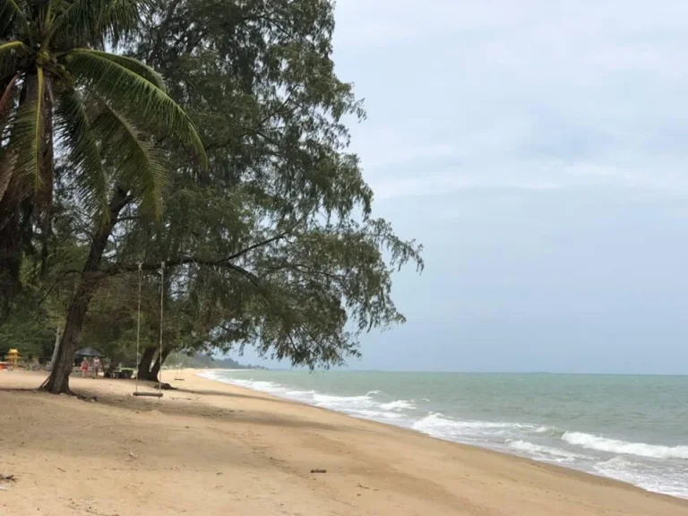  ขายที่ดินติดทะเลราคาถูก หาดแม่รำพึง โฉนด 12 ไร่