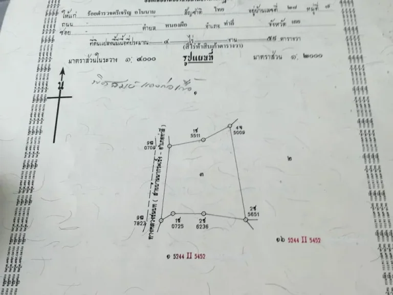 ขายที่โฉนด62ไร่ติดทางดำเข้าด่านศุลกากรท่าลี่ไร่ละ8แสน