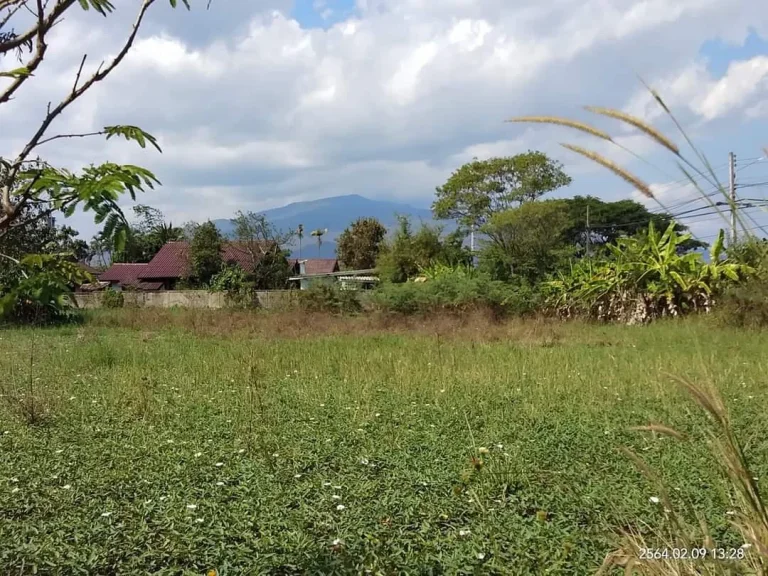 ขายที่ดินสันผักหวานหางดง วิวดอยสุเทพ ราคาถูก