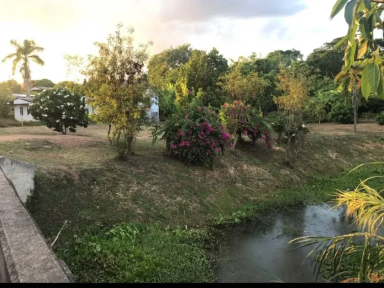 ขายที่ดินติดถนนลาดยางน้ำแพร่ ด้านข้างติดลำเหมือง ราคาถูก