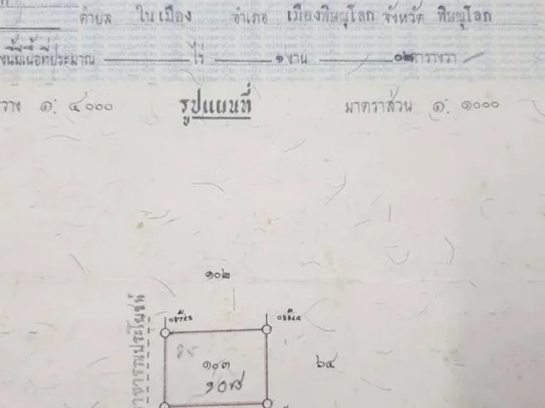 ขายที่ดิน 102 ตารางวา ในเมืองพิษณุโลกใกล้ รรมาลาเบี่ยง