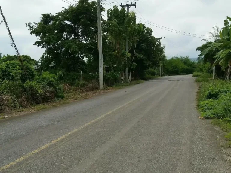 ขายที่ดินวิวดอยสวย บ้านปางกอตัน อป่าซาง จลำพูน