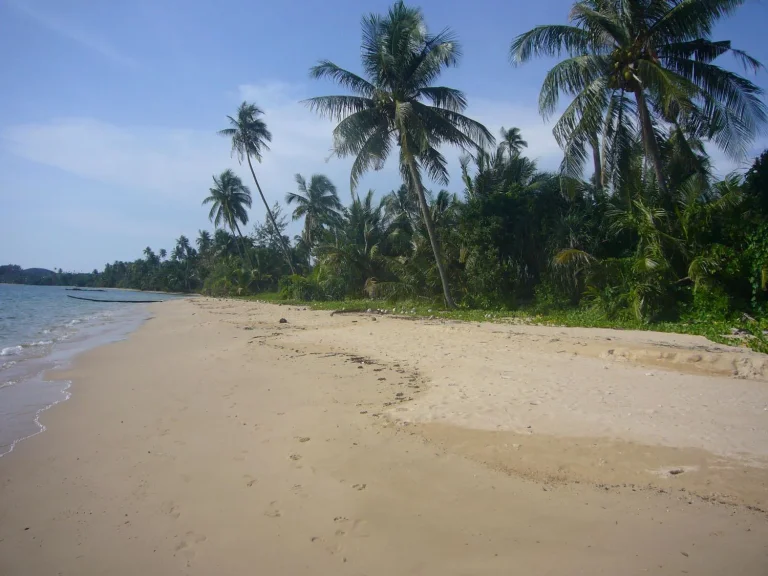 ขายที่ดินโฉนด เกาะหมาก ติดทะเลหาดทรายสวย 9 ไร่