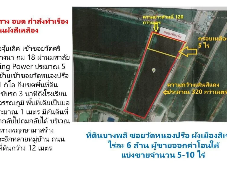 ขายที่ดินบางพลี ซอยวัดหนองปรือ ผังเมืองสีเขียว