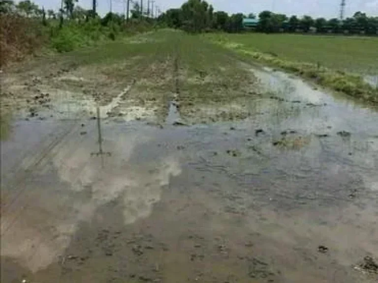 ขายด่วนมาก ที่ดินธัญบุรี คลองสิบ ปทุมธานี