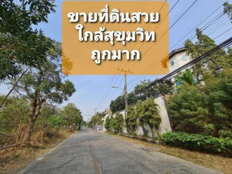 ขาย ที่ดิน สวย สิ่งแวดล้อมดี สุขุมวิท 107 แบริ่ง 1งาน 76ตรว ใกล้ถนนสุขุมวิทเพียง 900 เมตร