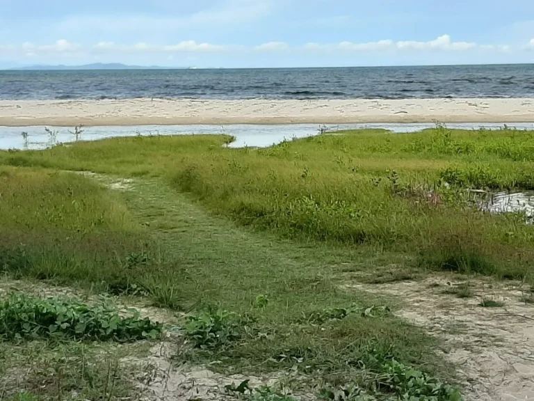 ขายถูกที่ดินติดทะเล โฉนด 2 ไร่ หาดทรายขาว