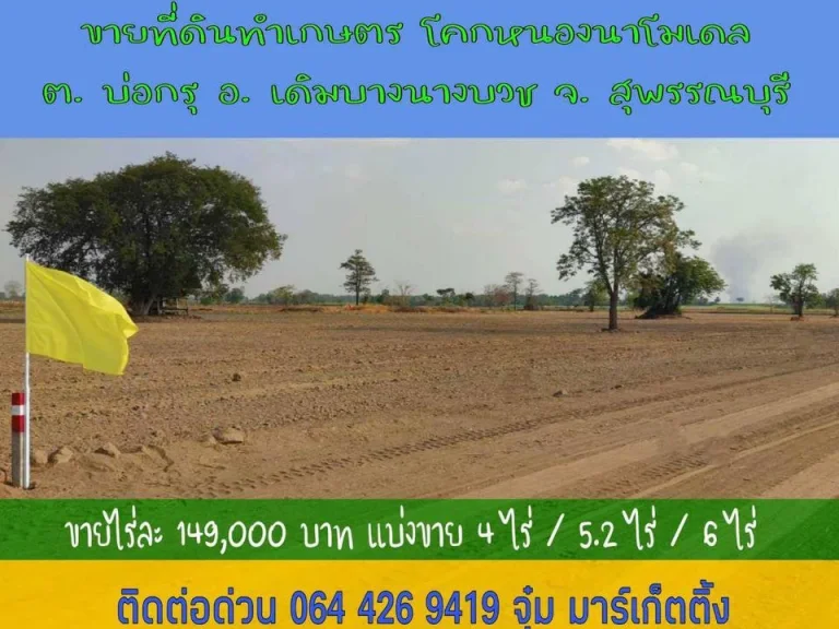 ขายที่ดินราคาถูก ที่ดินทำเกษตร โคกหนองนาโมเดล ตบ่อกรุ อเดิมบางนางบวช จสุพรรณบุรี ขายไร่ละ 149000 บาท แบ่งขาย 4 ไร่ 