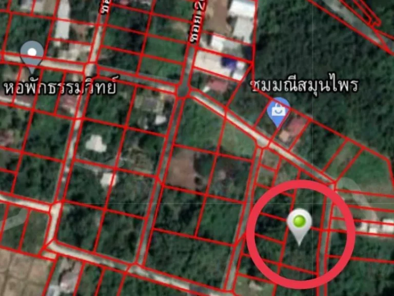 ขายด่วน ร้อนเงิน ที่ดินหลังสภเขลางค์