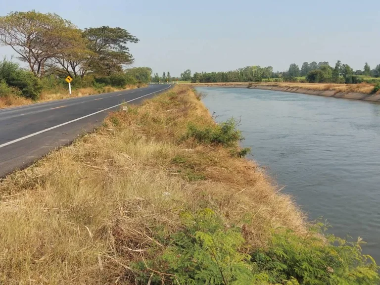 ขายที่ดิน 300ไร่ ไร่ละ300000-หน้าติดถนนลาดยางคลองใหญ่ภูเขา อสองพี่น้อง จสุพรรฯเหมาะทำฟาร์มปลากุ้งสวนมะพร้าวโรงงาน