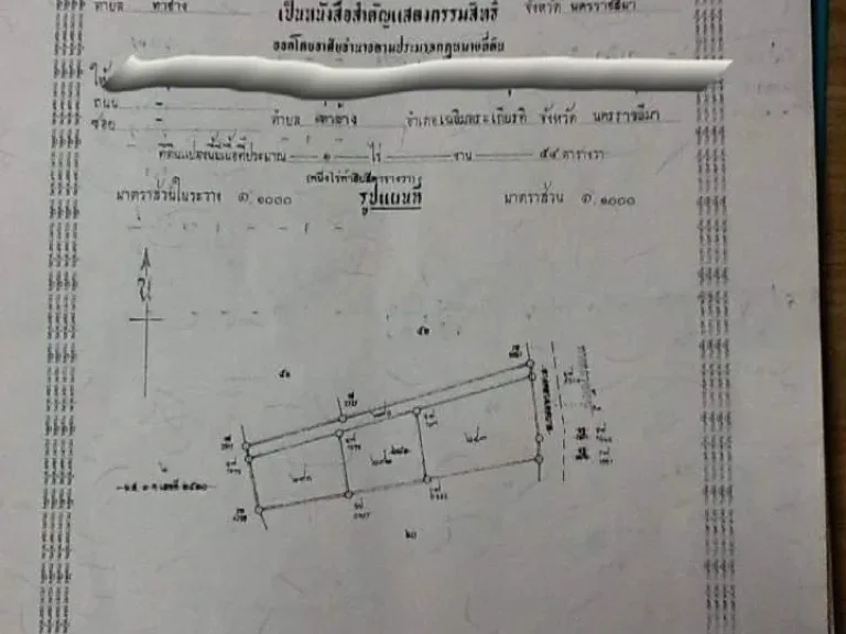 ขายที่ดิน 1 ไร่ 54 ตรว ตสระพระ อเฉลิมพระเกรียติ จนครราชสีมา ขาย ตรวละ 4500บาท ใกล้สถานีรถไฟ ใกล้ อบตเฉลิมพระเกรีย