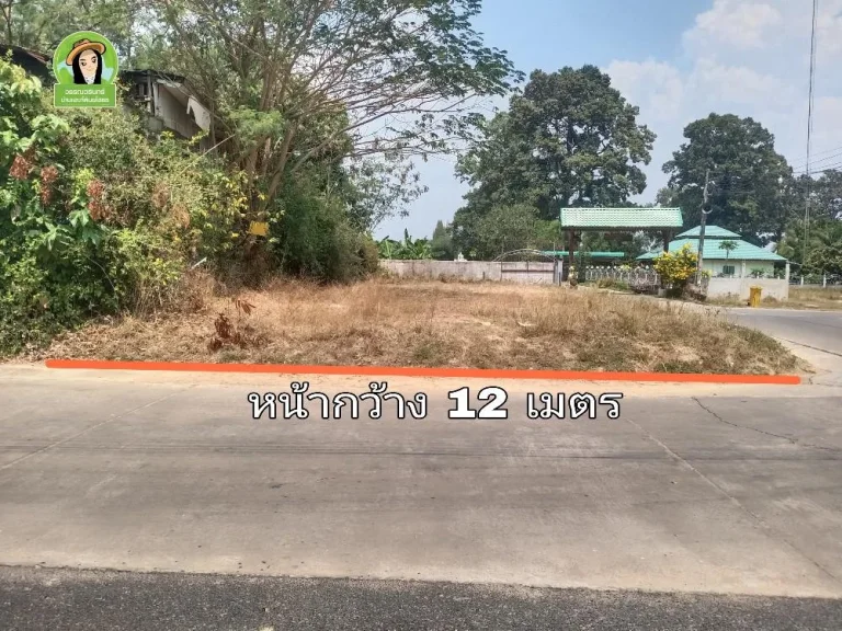 ที่ดินสร้างบ้านในเมืองยโสธร