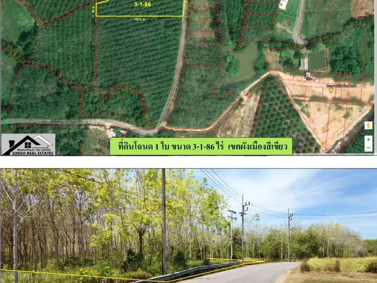 ขายที่ดินสวนยาง 3-1-86ไร่ แถวบางโรง-นาเหนือ ผังเมืองสีเขียว