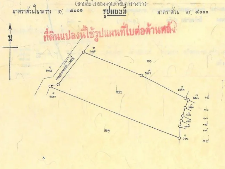 ขายถูก ด่วนๆ ที่ดิน30ไร่ ตนาหูกวาง อทับสะแก จประจวบคีรีขันธ์