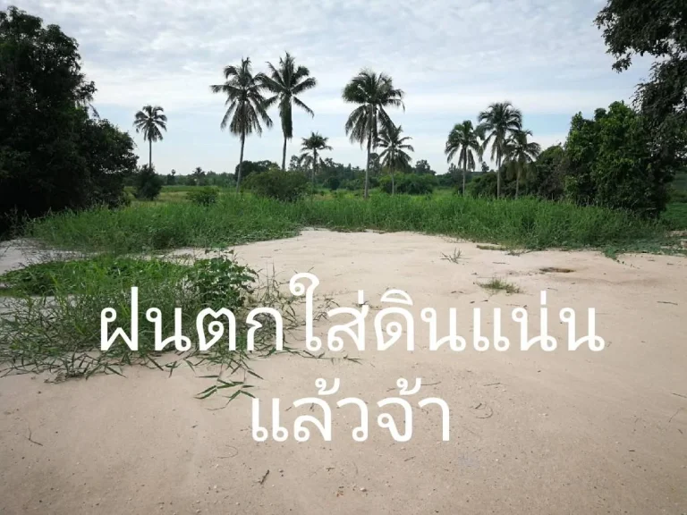 gtgtgtขายที่ดินถูกมากltltlt