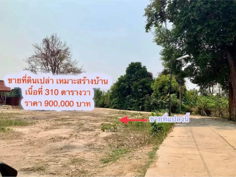 ที่ดินใกล้ มอุบล เนื้อที่ 310 ตรวราคาเพียง 900000 บาทเท่านั้น เอกสารโฉนด