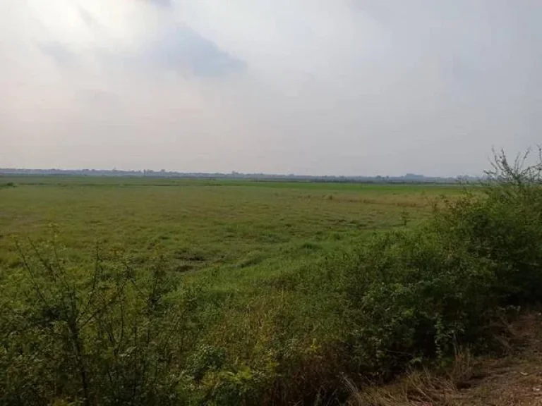 ทำเลดีวิวงาม ติดถนนคอนกรีต ถนนดำ มหาราช อยุธยา