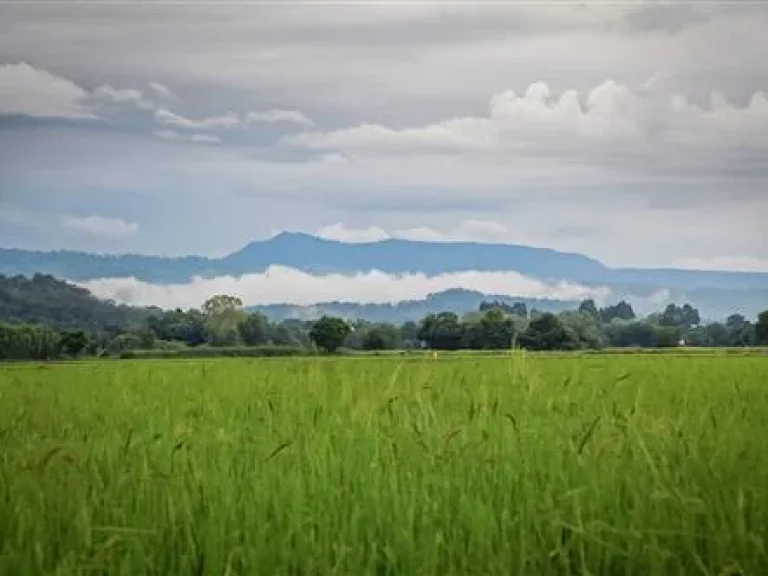 ที่สวนผลไม้ มี วิวเขา สวย ห้ามพลาด สำหรับท่านที่มองหาสวน วิวเขา