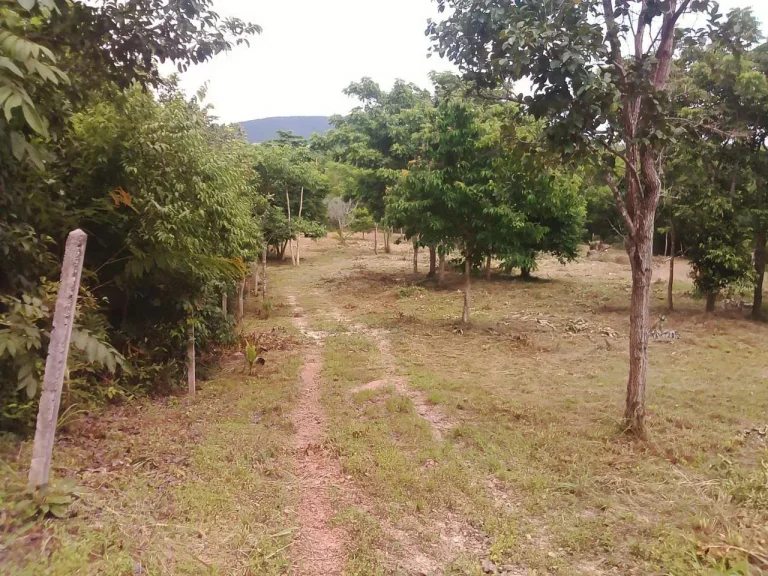 Nice Land mountain view with Chanote Chumphon so beautiful